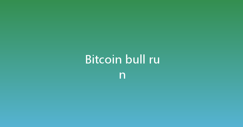 Bitcoin bull run 