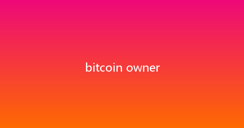 bitcoin owner 