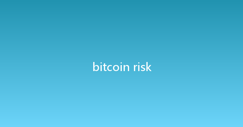 bitcoin risk 
