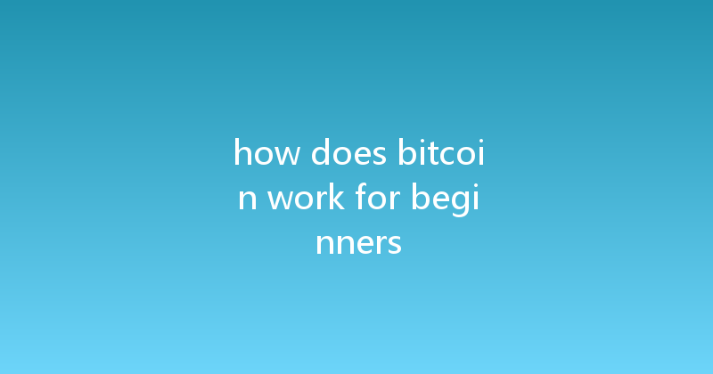 how does bitcoin work for beginners 